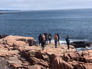 Spring 2019 PLACE Fellows and Leads admiring the ocean from a cliff in Acadia